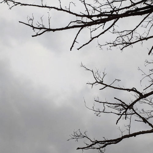 Absence Of Life : Hope